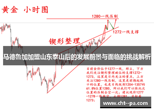 马德鲁加加盟山东泰山后的发展前景与面临的挑战解析